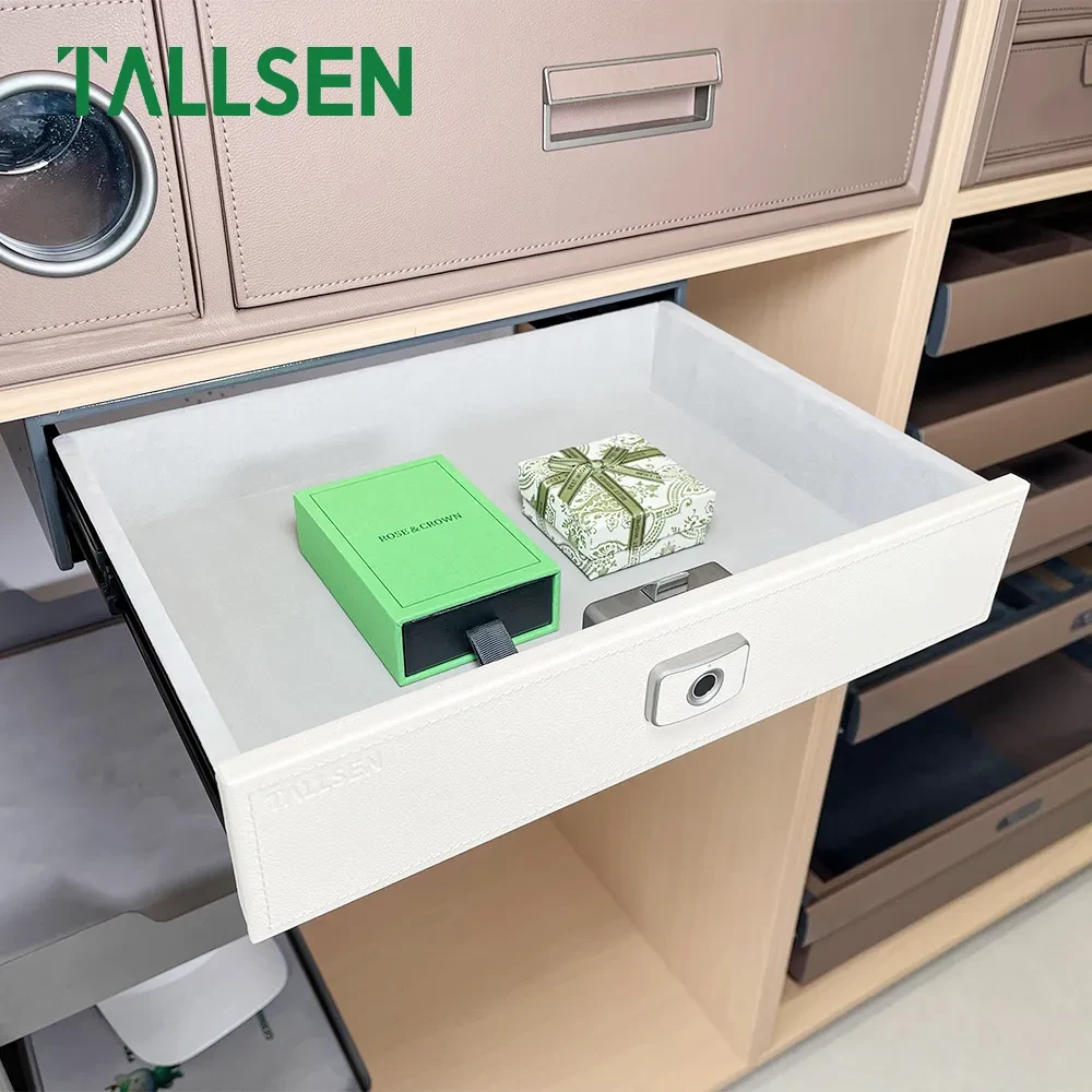 اكسسوار قفل درج سري ببصمة الإصبع تالسن